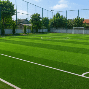 ARTGRASS - R1 Gol